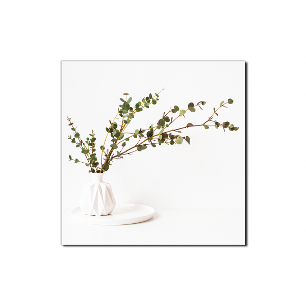 Obraz na plátně - Větev eukalyptu v bílé váze na bílém pozadí - čtverec